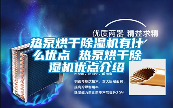欧美黄色电影在线播放 热泵烘干除湿机有什么优点 热泵烘干除湿机优点介绍