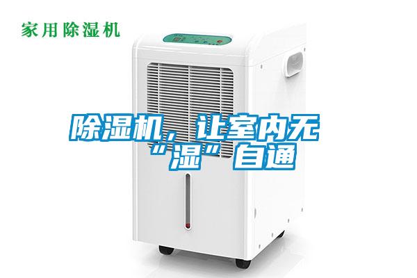 欧美成色手机在线观看 除湿机，让室内无“湿”自通