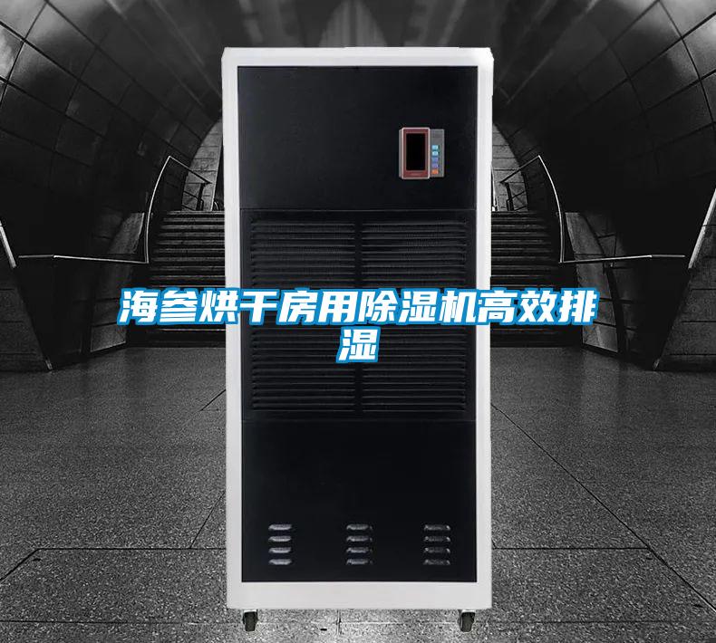欧美黄色性爱视频网站 海参烘干房用除湿机高效排湿