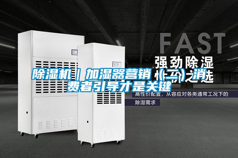 欧美黄色电影在线播放 除湿机｜加湿器营销（二）消费者引导才是关键