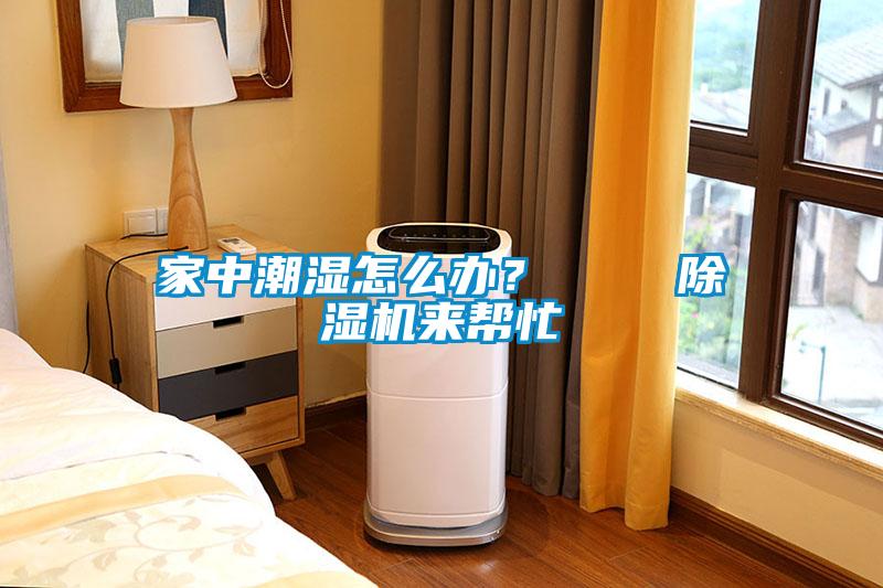 欧美成色手机在线观看 家中潮湿怎么办？    除湿机来帮忙