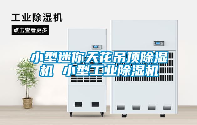 欧美成色手机在线观看 小型迷你天花吊顶除湿机 小型工业除湿机