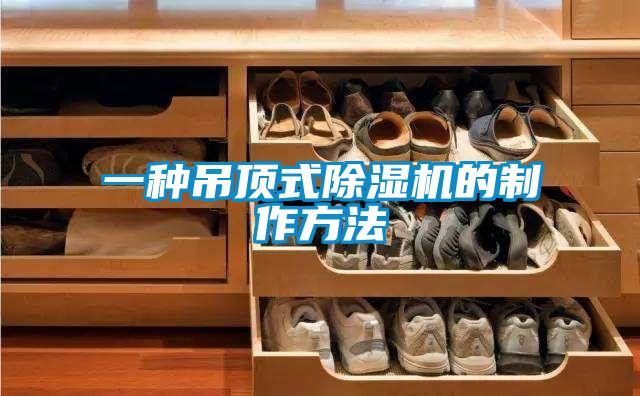 欧美黄色性爱视频网站 一种吊顶式除湿机的制作方法