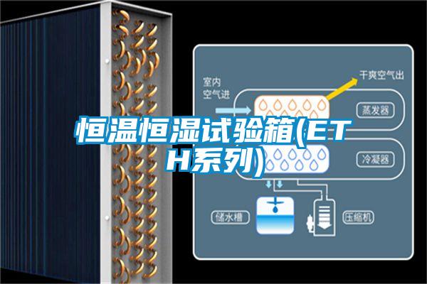 欧美黄色电影在线播放 恒温恒湿试验箱(ETH系列)