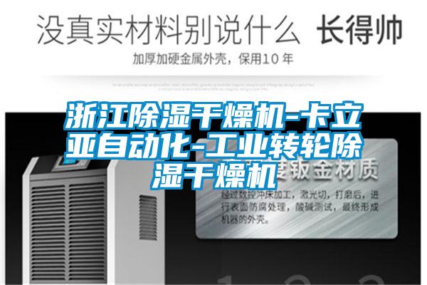 欧美黄色性爱视频网站 浙江除湿干燥机-卡立亚自动化-工业转轮除湿干燥机