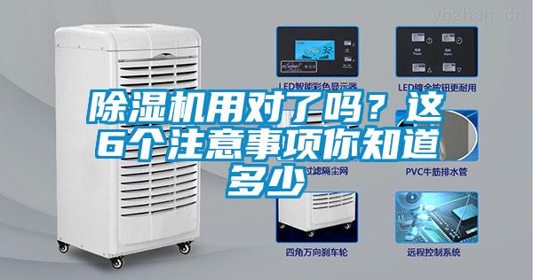 欧美成色手机在线观看 除湿机用对了吗？这6个注意事项你知道多少