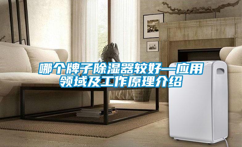 欧美黄色性爱视频网站 哪个牌子除湿器较好—应用领域及工作原理介绍