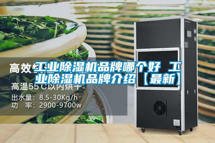 欧美黄色电影在线播放 工业除湿机品牌哪个好 工业除湿机品牌介绍【最新】