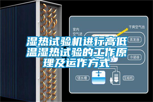 欧美黄色电影在线播放 湿热试验机进行高低温湿热试验的工作原理及运作方式