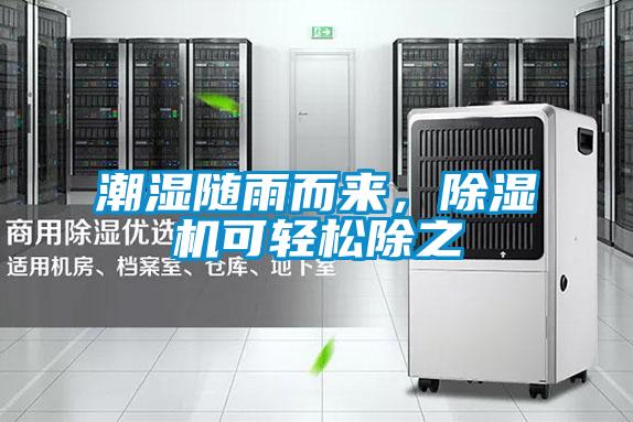 欧美黄色电影在线播放 潮湿随雨而来，除湿机可轻松除之