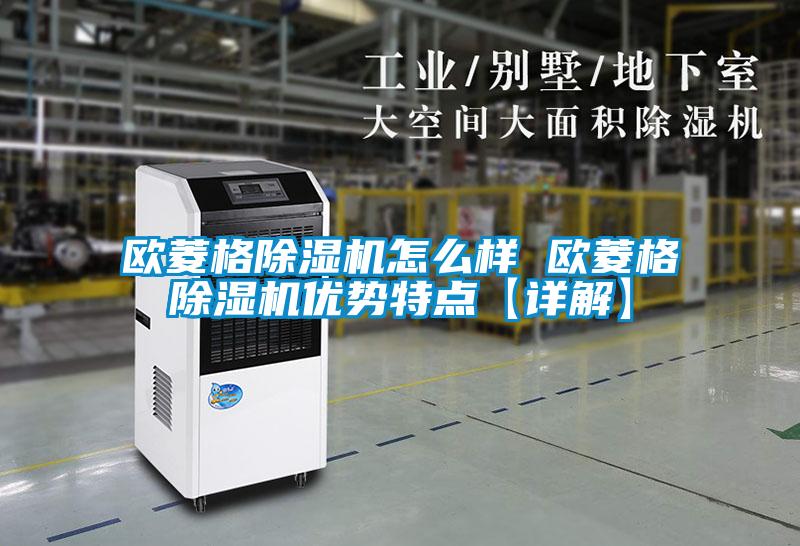 欧美黄色性爱视频网站 欧菱格除湿机怎么样 欧菱格除湿机优势特点【详解】