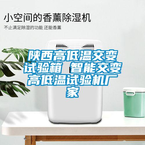 欧美黄色电影在线播放 陕西高低温交变试验箱 智能交变高低温试验机厂家
