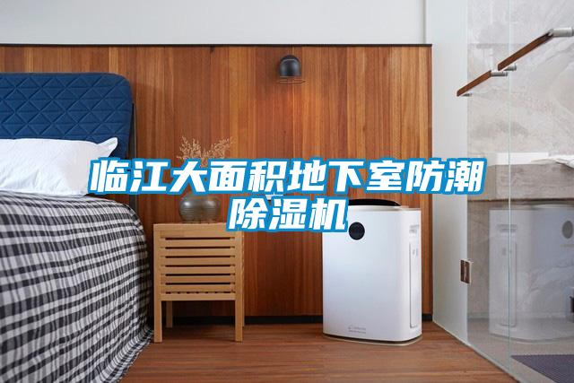欧美成色手机在线观看 临江大面积地下室防潮除湿机