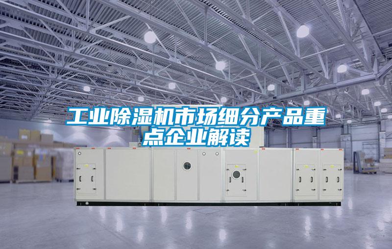 欧美黄色性爱视频网站 工业除湿机市场细分产品重点企业解读
