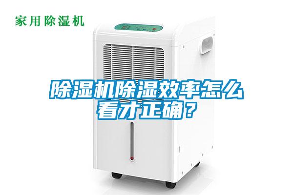 欧美黄色电影在线播放 除湿机除湿效率怎么看才正确？
