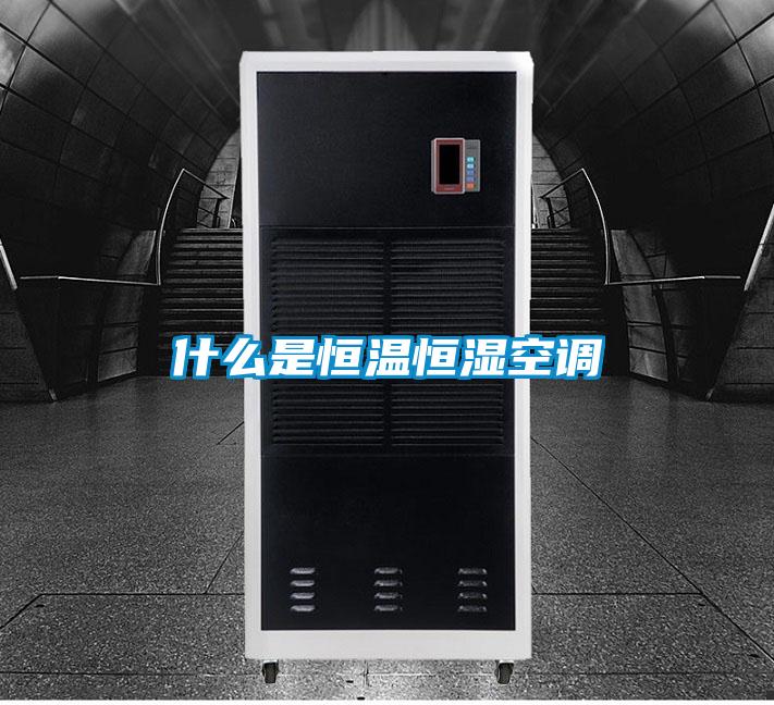 欧美黄色性爱视频网站 什么是恒温恒湿空调