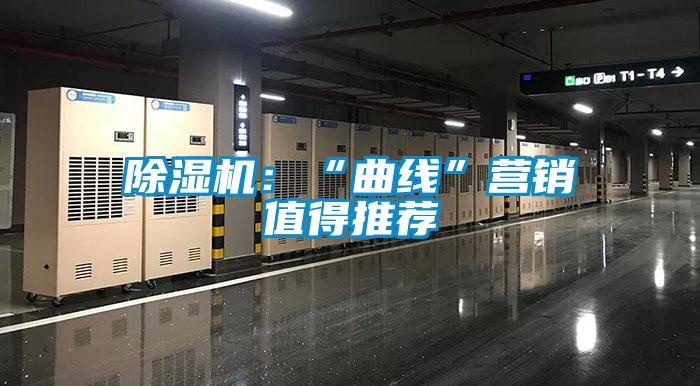 欧美黄色性爱视频网站 除湿机：“曲线”营销值得推荐