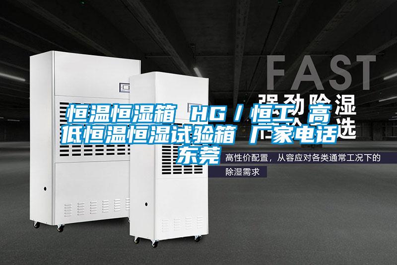 欧美黄色性爱视频网站 恒温恒湿箱 HG／恒工 高低恒温恒湿试验箱 厂家电话东莞