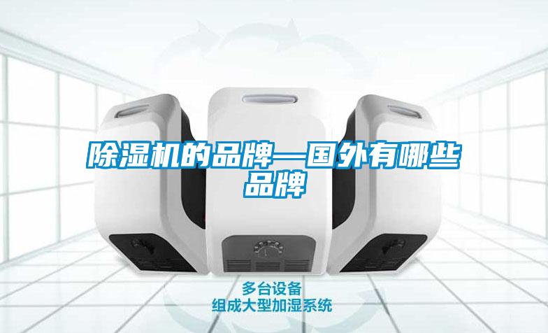 欧美黄色性爱视频网站 除湿机的品牌—国外有哪些品牌