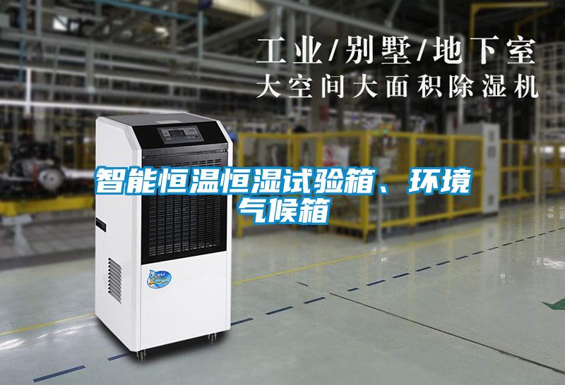 欧美黄色性爱视频网站 智能恒温恒湿试验箱、环境气候箱