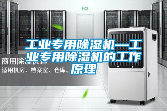 欧美黄色电影在线播放 工业专用除湿机—工业专用除湿机的工作原理