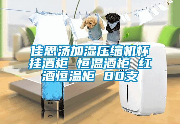 欧美黄色性爱视频网站 佳思汤加湿压缩机杯挂酒柜 恒温酒柜 红酒恒温柜 80支