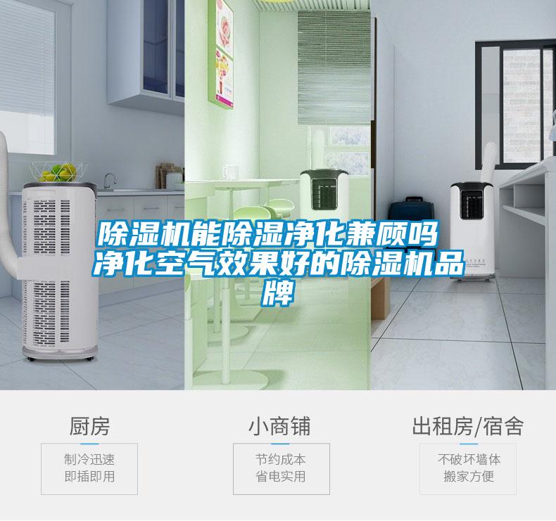 欧美黄色性爱视频网站 除湿机能除湿净化兼顾吗 净化空气效果好的除湿机品牌