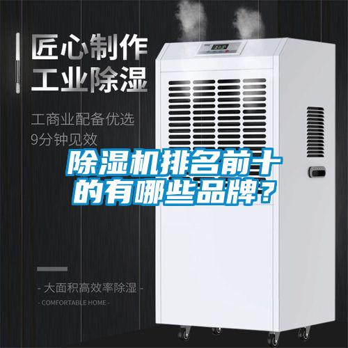 欧美成色手机在线观看 除湿机排名前十的有哪些品牌？