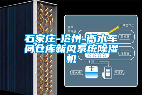 欧美黄色电影在线播放 石家庄-沧州-衡水车间仓库新风系统除湿机
