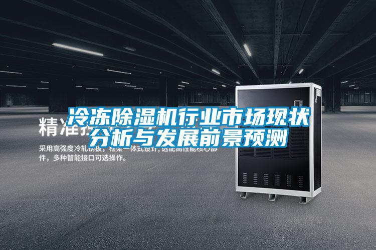 欧美黄色性爱视频网站 冷冻除湿机行业市场现状分析与发展前景预测