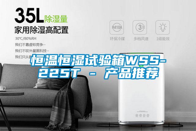 欧美成色手机在线观看 恒温恒湿试验箱WSS-225T - 产品推荐