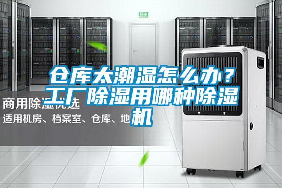 欧美黄色性爱视频网站 仓库太潮湿怎么办？工厂除湿用哪种除湿机