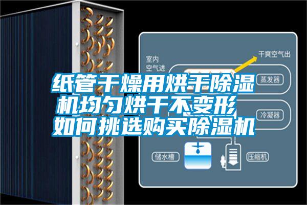 欧美黄色性爱视频网站 纸管干燥用烘干除湿机均匀烘干不变形 如何挑选购买除湿机