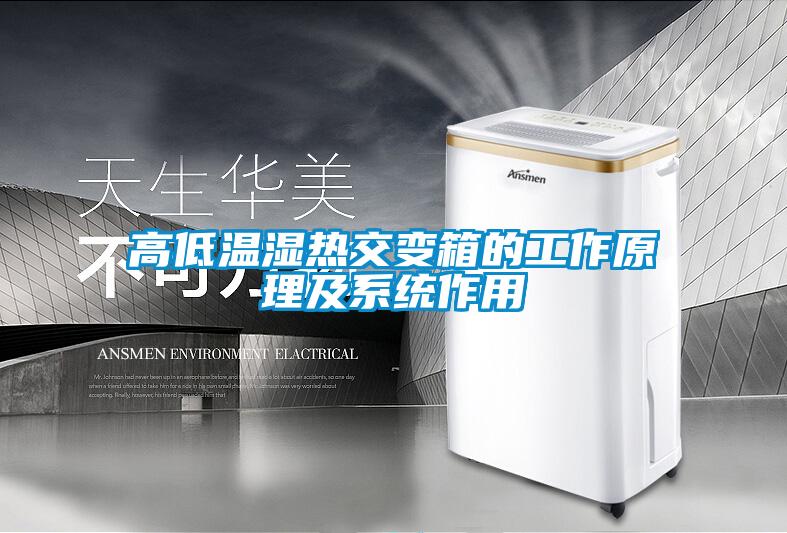 欧美黄色电影在线播放 高低温湿热交变箱的工作原理及系统作用