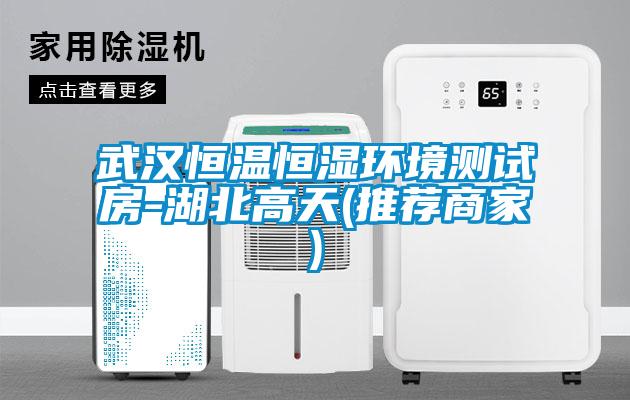 欧美成色手机在线观看 武汉恒温恒湿环境测试房-湖北高天(推荐商家)