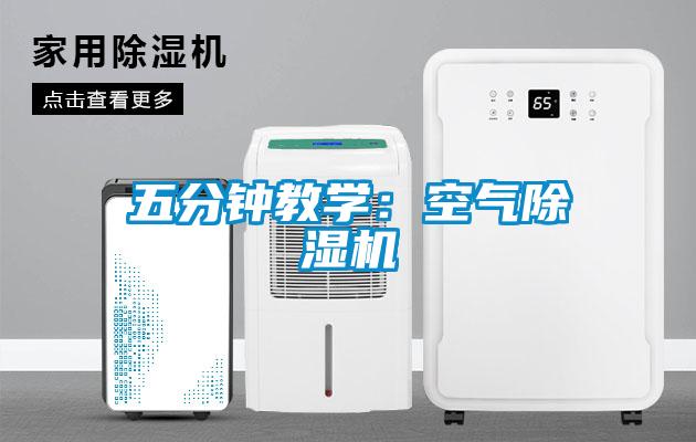 欧美黄色电影在线播放 五分钟教学：空气除湿机