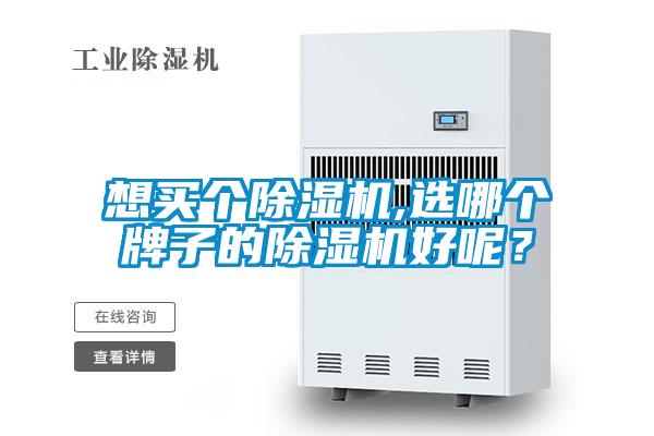 欧美黄色电影在线播放 想买个除湿机,选哪个牌子的除湿机好呢？