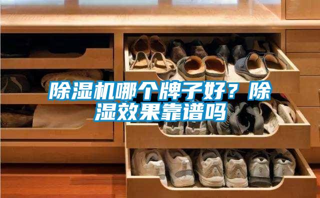 欧美成色手机在线观看 除湿机哪个牌子好？除湿效果靠谱吗