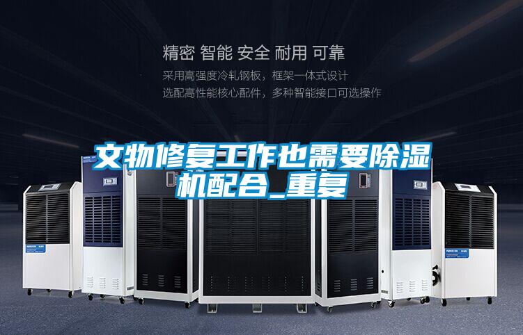 欧美黄色性爱视频网站 文物修复工作也需要除湿机配合_重复