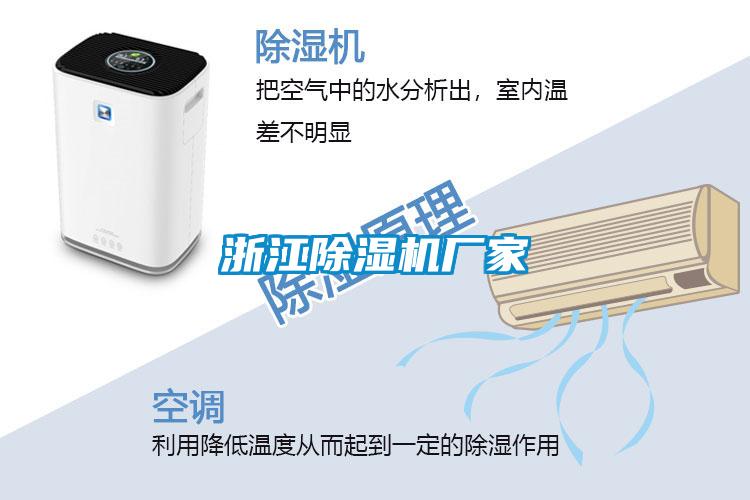 欧美成色手机在线观看 浙江除湿机厂家