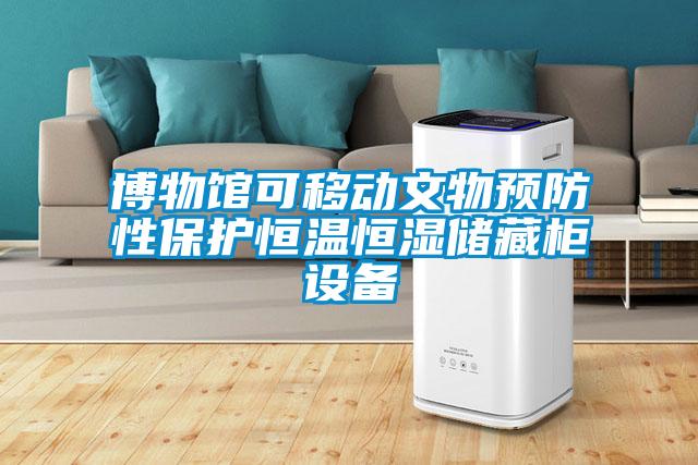 欧美黄色性爱视频网站 博物馆可移动文物预防性保护恒温恒湿储藏柜设备