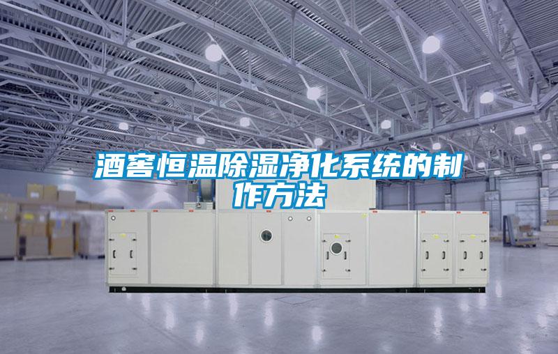 欧美黄色电影在线播放 酒窖恒温除湿净化系统的制作方法