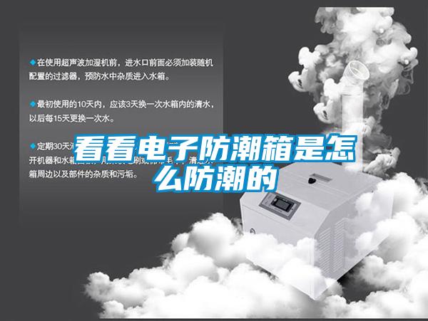 欧美黄色电影在线播放 看看电子防潮箱是怎么防潮的