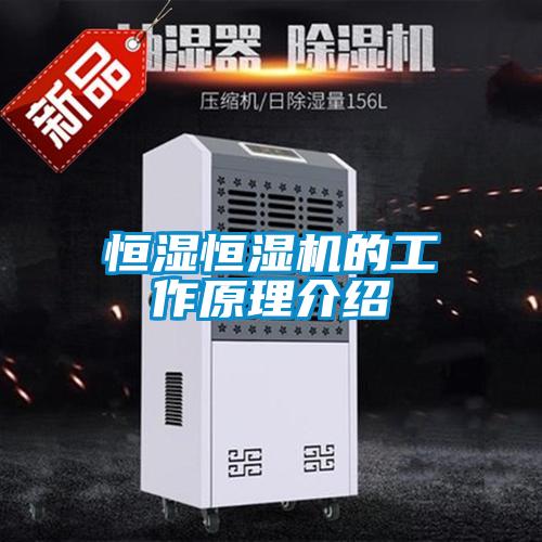 欧美黄色性爱视频网站 恒湿恒湿机的工作原理介绍