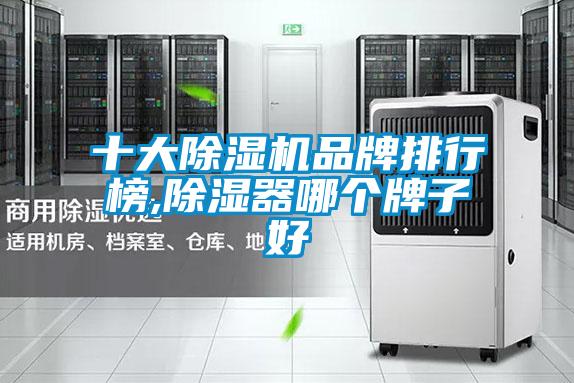 欧美黄色电影在线播放 十大除湿机品牌排行榜,除湿器哪个牌子好
