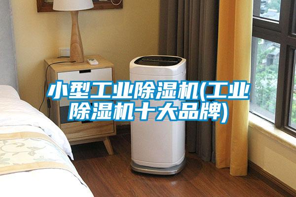 欧美成色手机在线观看 小型工业除湿机(工业除湿机十大品牌)