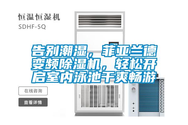 欧美黄色电影在线播放 告别潮湿，菲亚兰德变频除湿机，轻松开启室内泳池干爽畅游