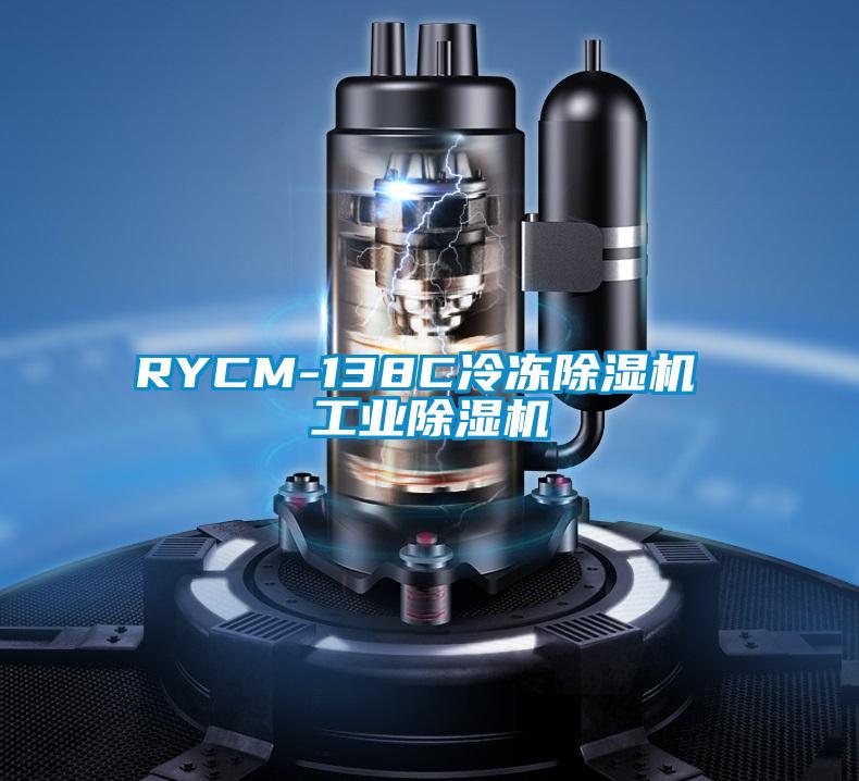 欧美黄色电影在线播放 RYCM-138C冷冻除湿机 工业除湿机