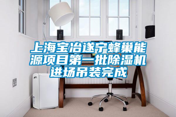 欧美黄色电影在线播放 上海宝冶遂宁蜂巢能源项目第一批除湿机进场吊装完成