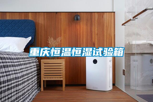 欧美黄色性爱视频网站 重庆恒温恒湿试验箱